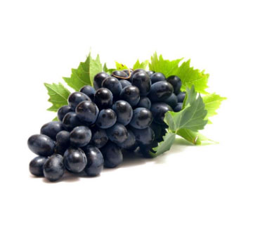 Szőlő